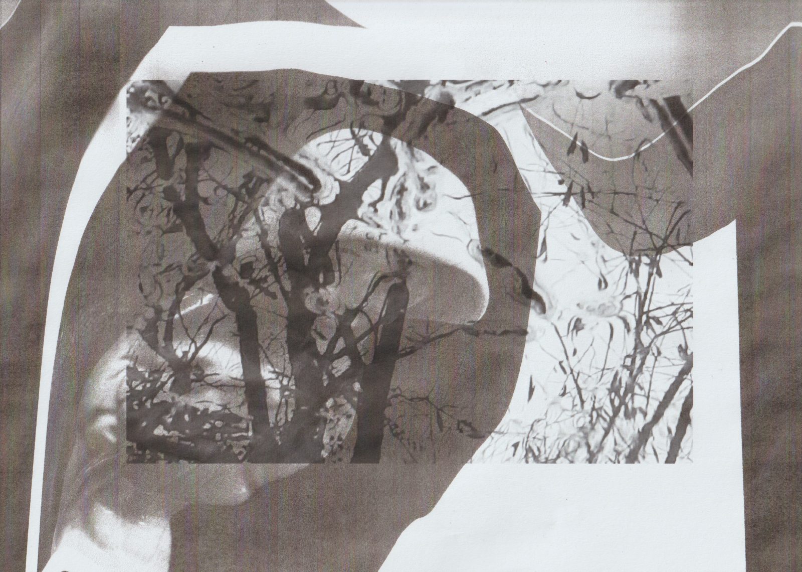 Collage experimentation - Demelza Design